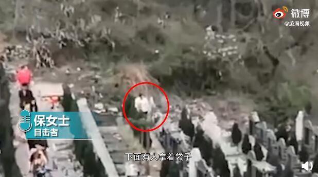 女子墓园内提袋子收走他人贡品 目击者:当时还有人正在祭拜