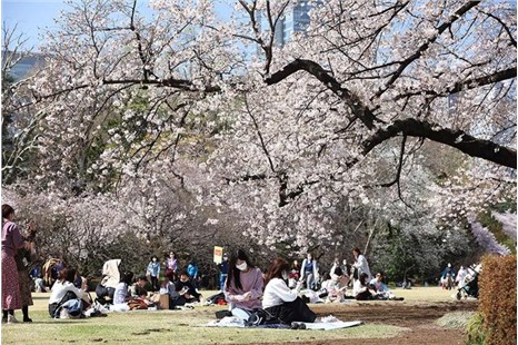 埃及中止苏伊士运河交通，货船脱浅或需数日