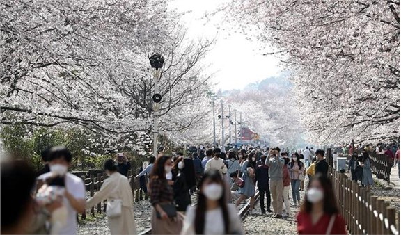 埃及中止苏伊士运河交通，货船脱浅或需数日