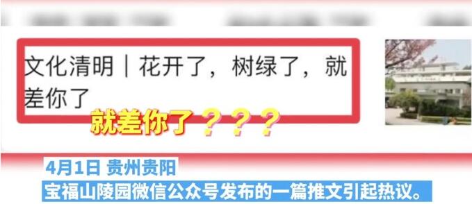 好家伙！陵园回应清明推文称就差你了，具体说了什么？