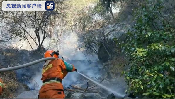 四川九龙森林火灾：过火面积约10亩 空地配合协同灭火