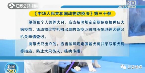 @养狗人士！5月1日起遛狗不拴绳违法 将受到行政处罚