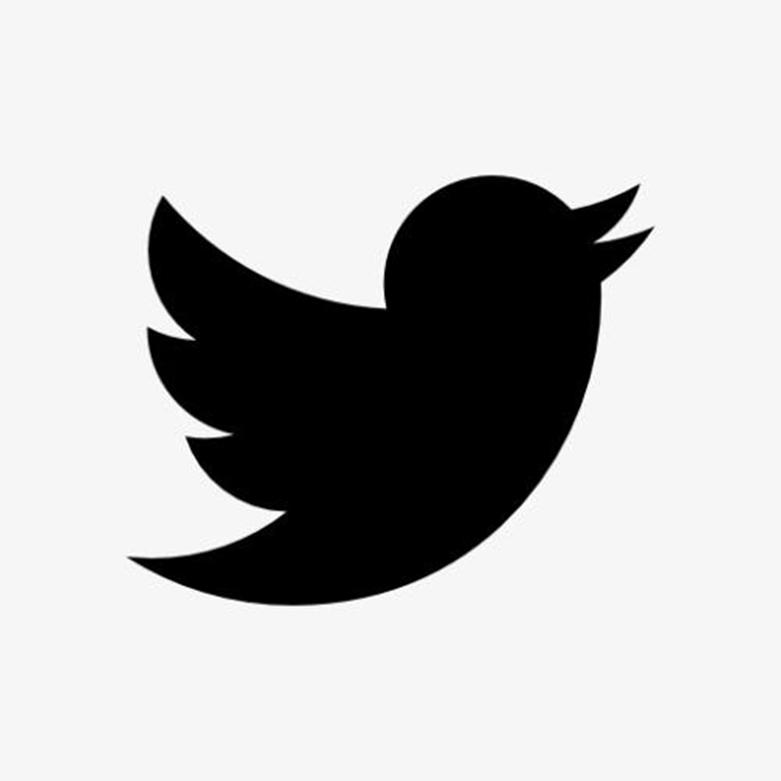 Twitter表示几乎没有用户选择退出其新的算法时间表