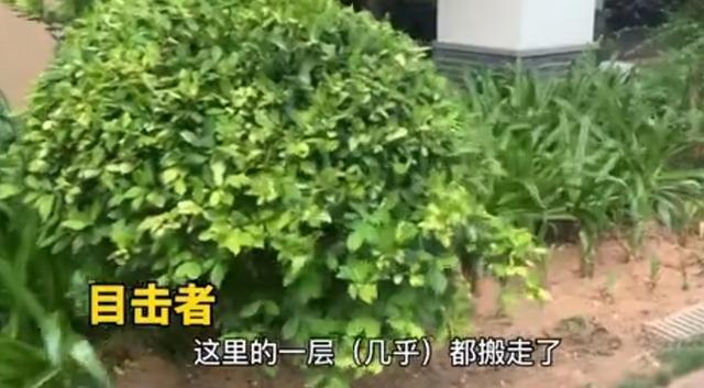 红衣女子三亚坠亡一层楼人都搬走 红衣女子坠亡疑点重重