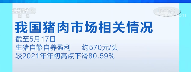 生猪价格跌破一斤10元 部分养殖户陷入亏损状态