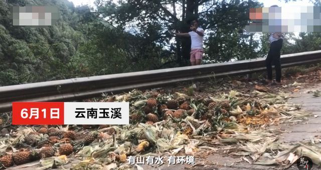 【蹭热点毫无底线】网络主播吃播象群吃剩的菠萝