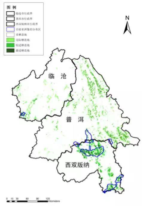 大象北上的奇幻之旅 根本不浪漫！云南离群独象掉队12公里