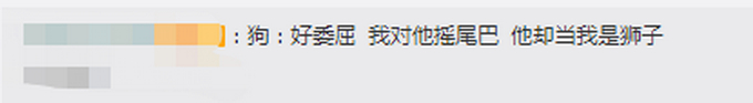 狗子好“委屈”！市民将剃过毛的狗误认成狮子报警详情始末