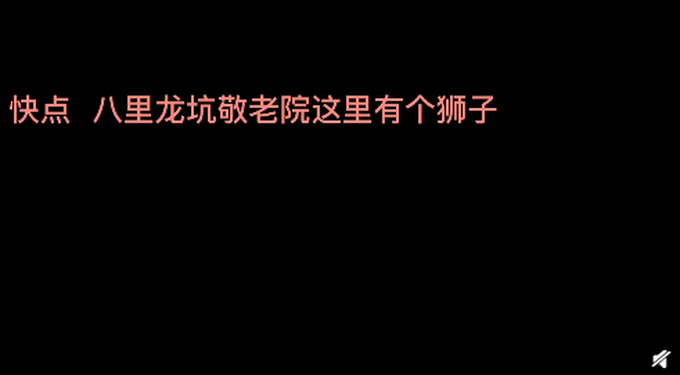 市民将剃过毛的狗误认成狮子报警 结局亮了！