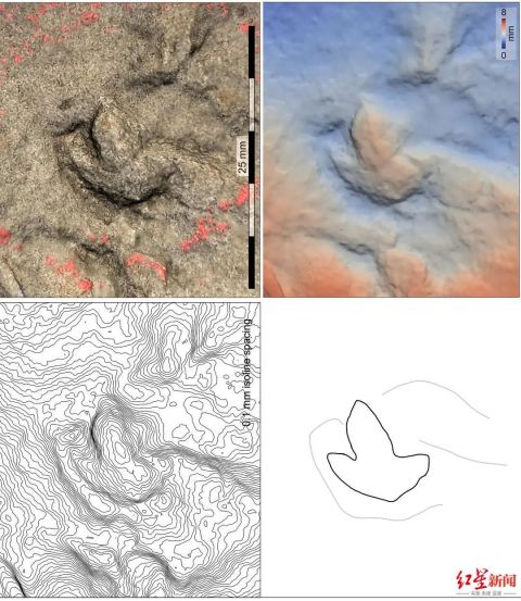 四川发现中国最小恐龙足迹长1.02厘米 怎么确定是恐龙足迹的？