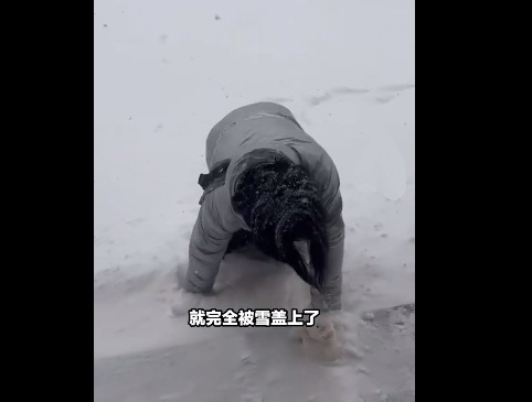 女生考完4级遇暴雪手脚并用爬回寝室，现场画面曝光