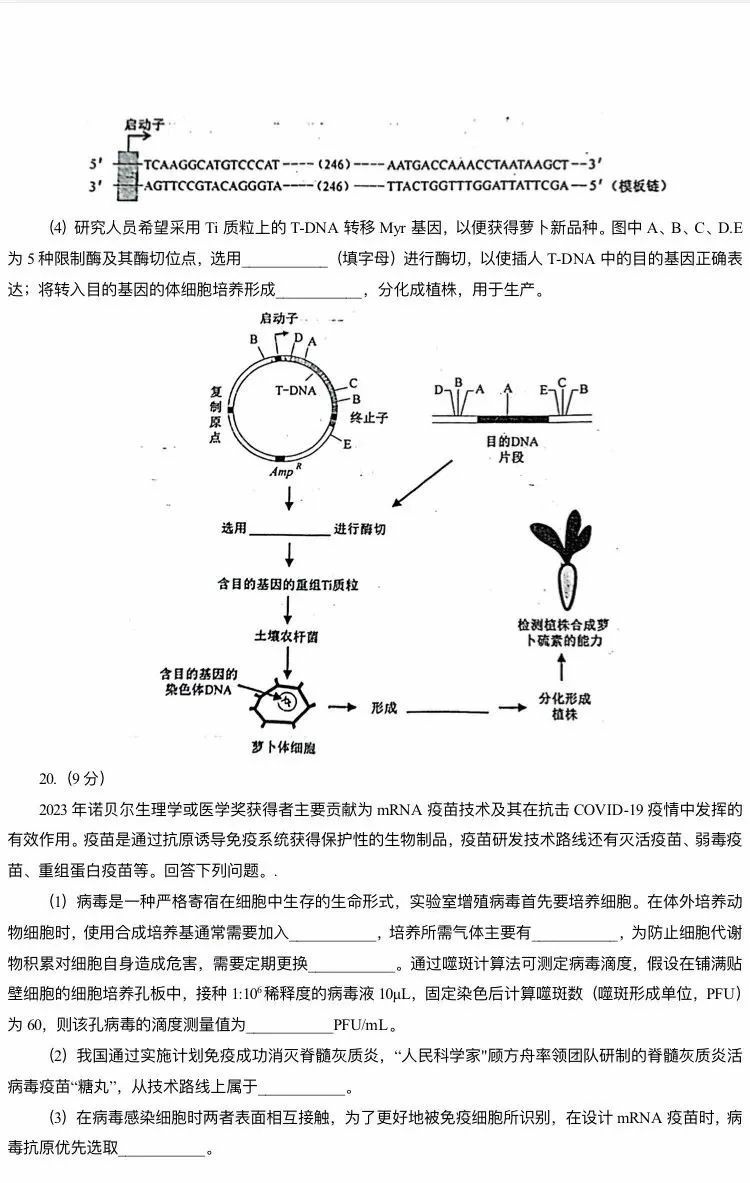 2024年新高考九省联考生物试题（安徽）