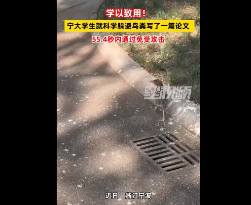 宁大学生就科学躲避鸟粪写了篇论文，网友：课题实践成功了吗？